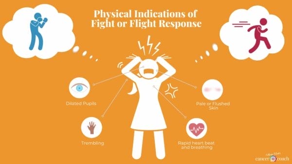 Graphic depicting the Physical Indications of Fight or Flight Response